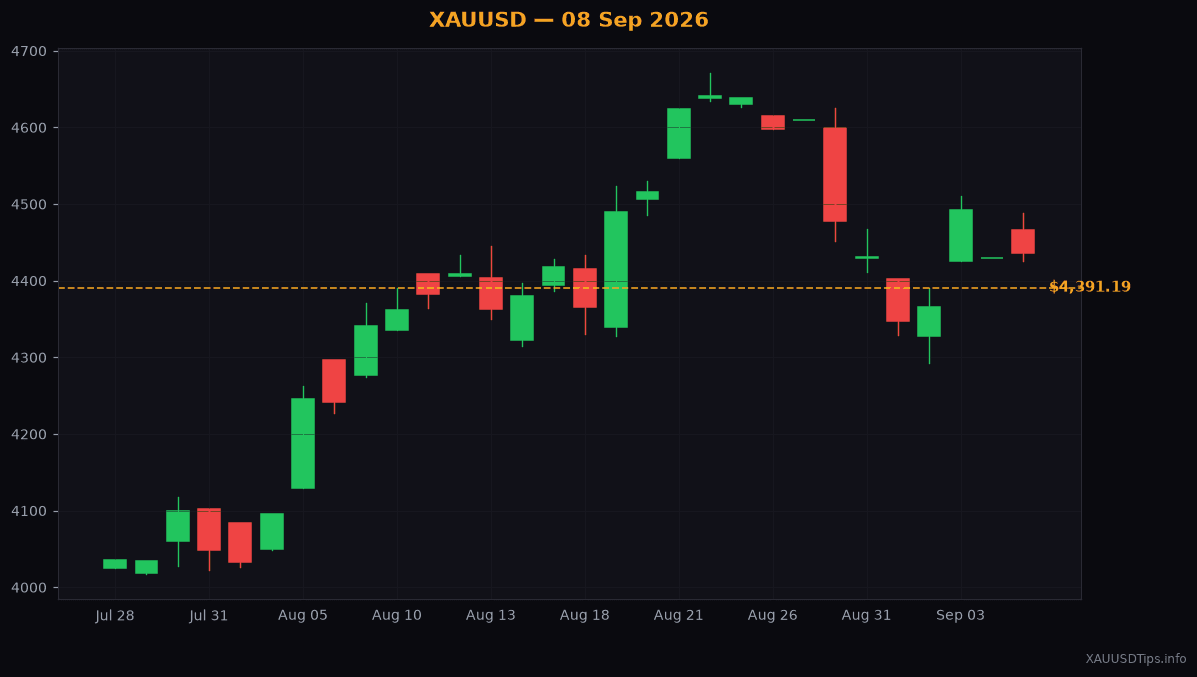 Gold Support and Resistance Explained: Today's Guide